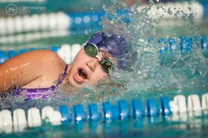 026(1D113950)-2015BestOf49_800x.jpg