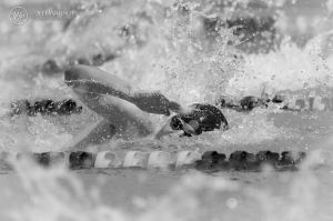 045(1DX_1198)-2015BestOf49_800x.jpg